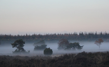 De Veluwe is de populairste vakantiebestemming van het land