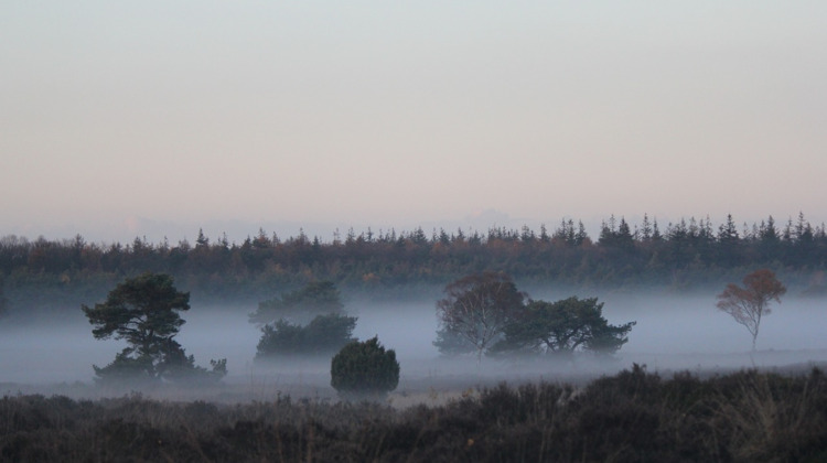 De Veluwe is de populairste vakantiebestemming van het land