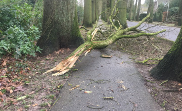Houd je stuur goed vast! Flinke windstoten in de regio