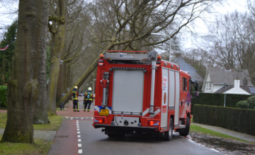 De balans opmaken: storm zorgde voor zo'n 200 meldingen in de regio