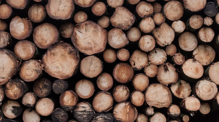 Gemeente: Stop met bomen jatten