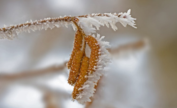 Brrr... het voelt als -18