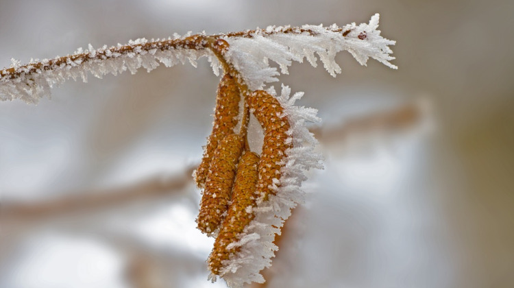 Brrr... het voelt als -18
