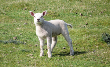 De lente is begonnen!