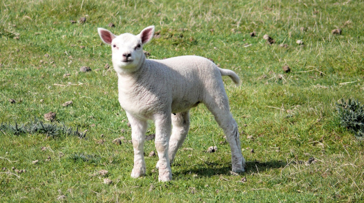 De lente is begonnen!