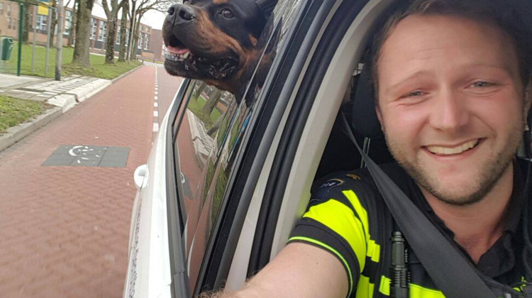 Hond gevonden: politie verzorgt hem en maakt selfies