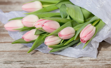 Overlastgevende arbeiders zijn met bloemetjes de buurt door gegaan